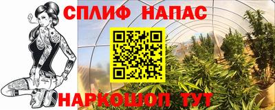 гидропоника Дубна